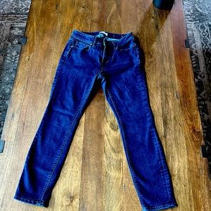 LOFT Outlet Women’s High Waisted Skinny Jeans Size 2 Petite